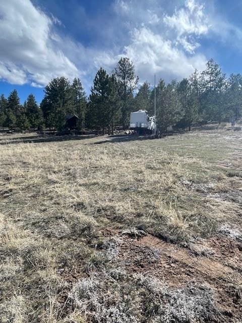 1043 Running Bear Rd, Hartsel, CO 80449
