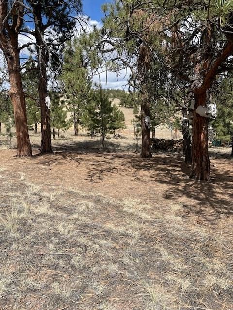 1043 Running Bear Rd, Hartsel, CO 80449