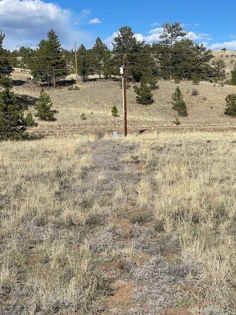 1043 Running Bear Rd, Hartsel, CO 80449