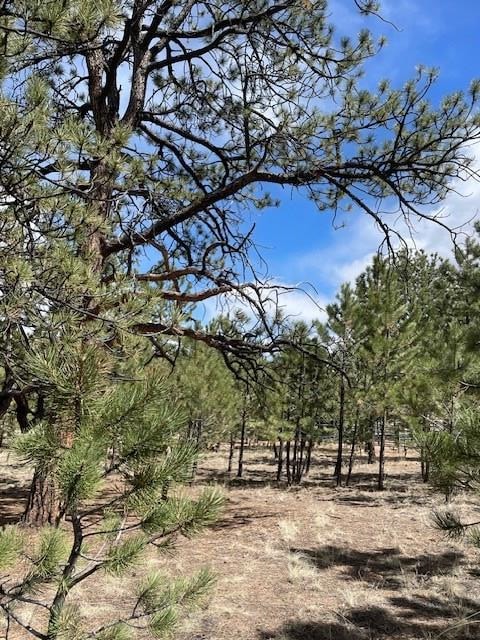 1043 Running Bear Rd, Hartsel, CO 80449