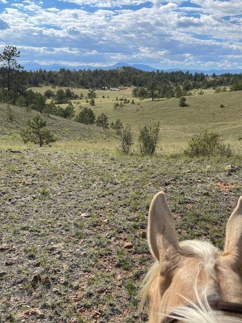 1043 Running Bear Rd, Hartsel, CO 80449