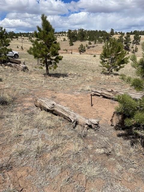 1043 Running Bear Rd, Hartsel, CO 80449