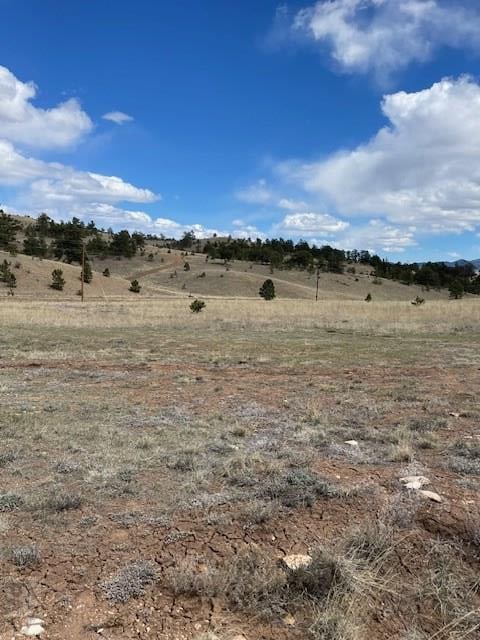 1043 Running Bear Rd, Hartsel, CO 80449