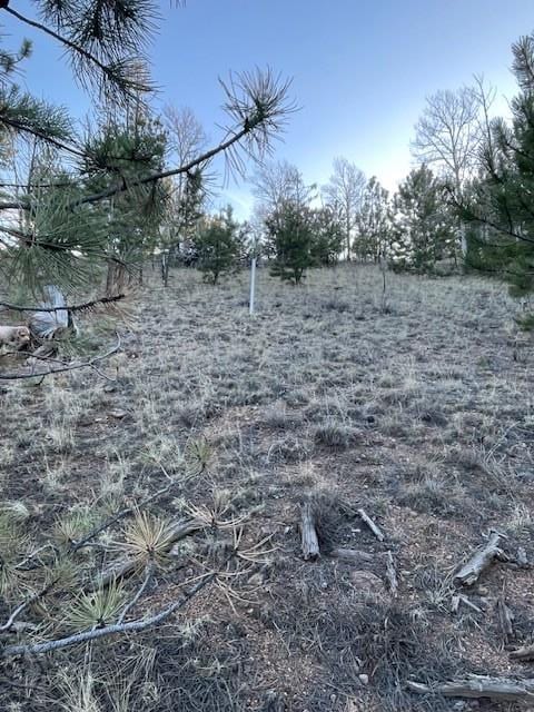 1043 Running Bear Rd, Hartsel, CO 80449