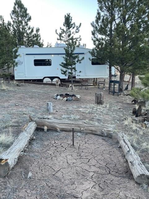 1043 Running Bear Rd, Hartsel, CO 80449