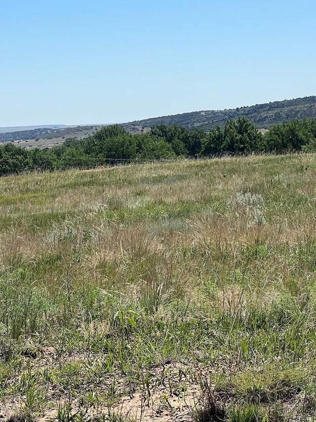 LOT388 Arapahoe Dr, Colorado City, CO 81019 - photo 5