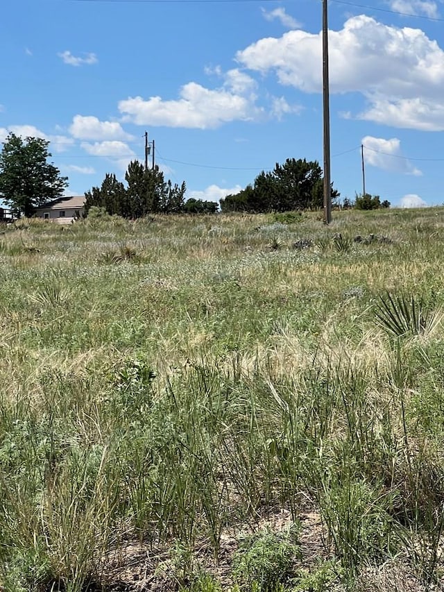 Listing photo 3 for LOT388 Arapahoe Dr, Colorado City CO 81019