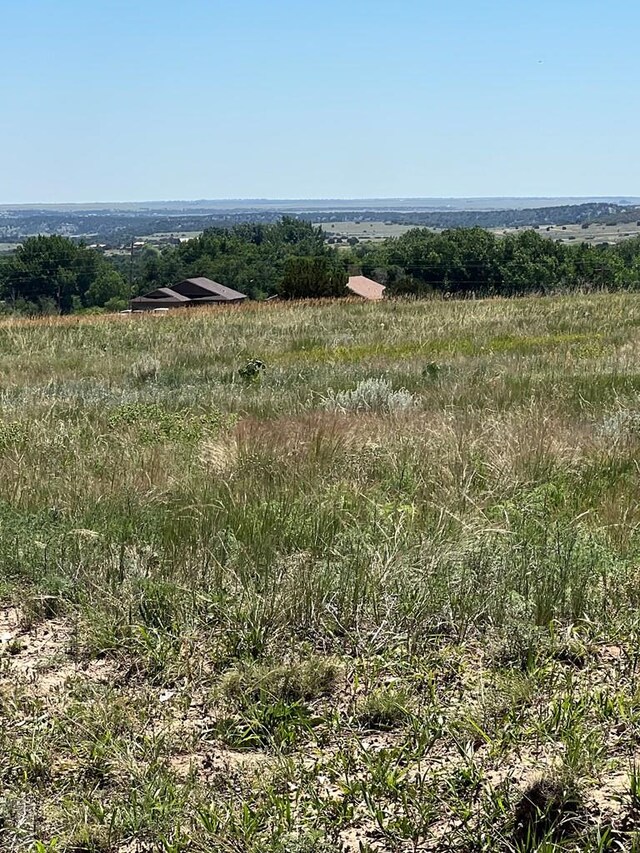 LOT388 Arapahoe Dr, Colorado City, CO 81019 - photo 4