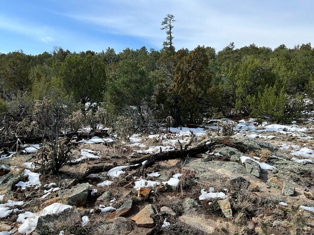 Listing photo 3 for 28 Turkey Ridge Rnch, Walsenburg CO 81089