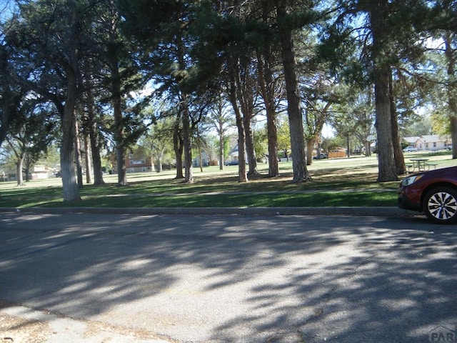 view of road with curbs