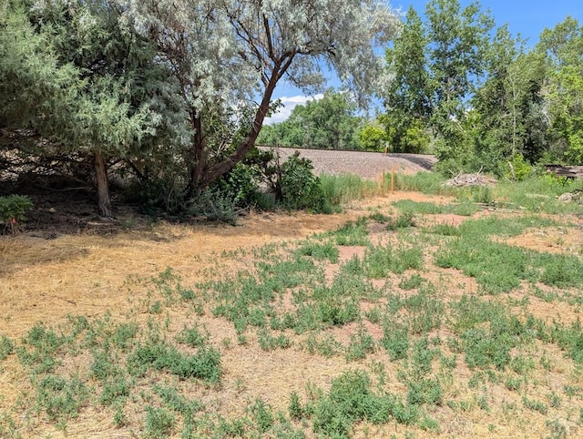 505 W 10th St, Walsenburg, CO 81089 - photo 6