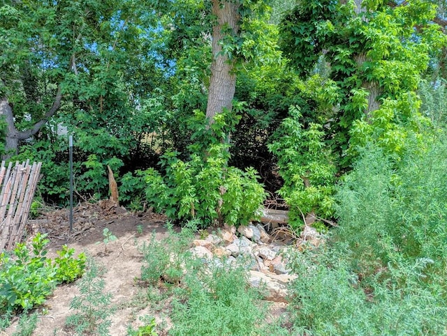 505 W 10th St, Walsenburg, CO 81089 - photo 4