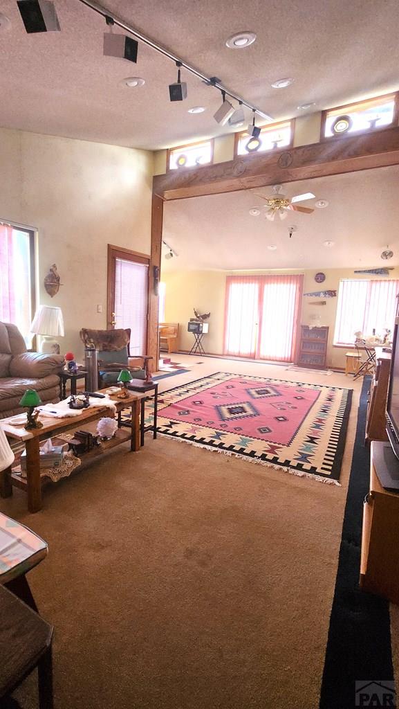 997 Wells Fargo Cir, Jefferson, CO 80456 - living room featuring carpet, a textured ceiling, rail lighting, and ceiling fan