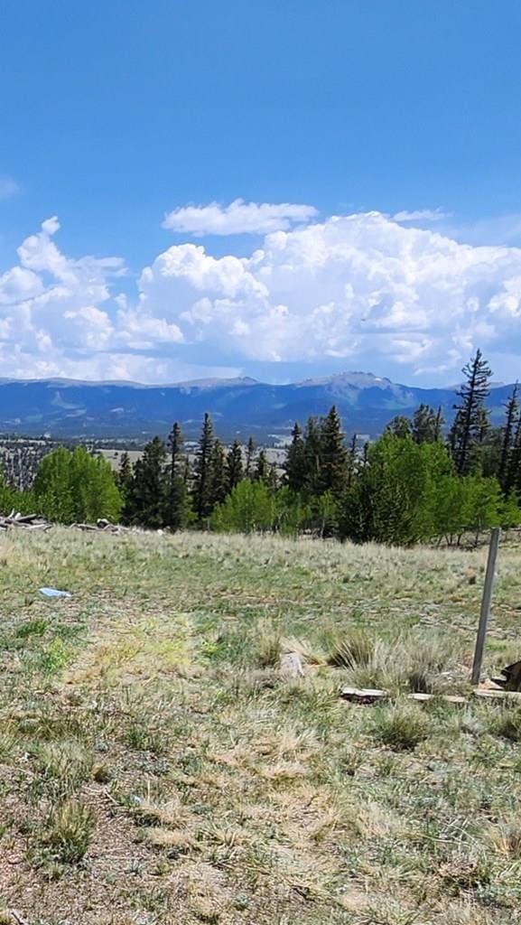 997 Wells Fargo Cir, Jefferson, CO 80456 - view of mountain background featuring rural landscape