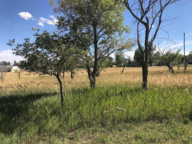 Listing photo 2 for TBD Fort Crockett Ave, Colorado City CO 81019