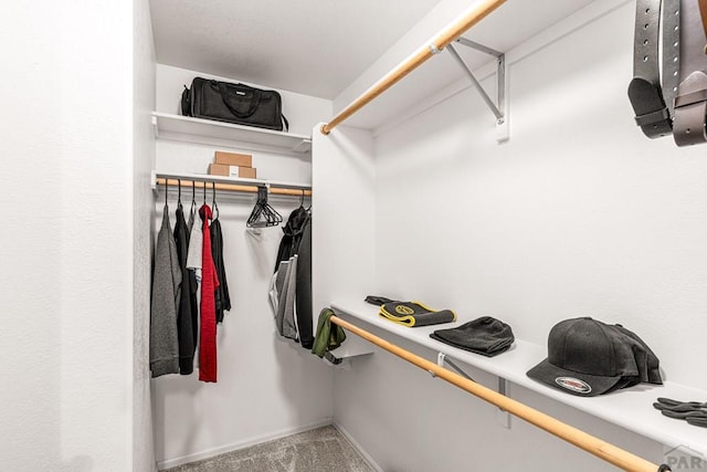 4141 Outlook Blvd Unit Q, Pueblo, CO 81008 - walk in closet with carpet