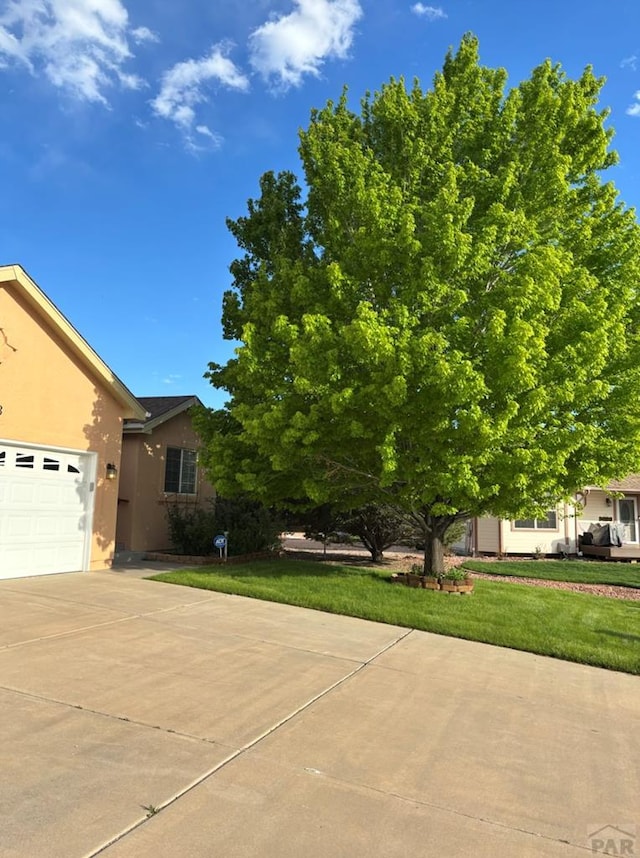473 W Golfwood Plz, Pueblo West, CO 81007 - photo 1