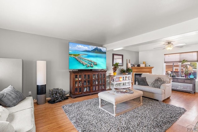 living room with ceiling fan, wood finished floors, and a fireplace