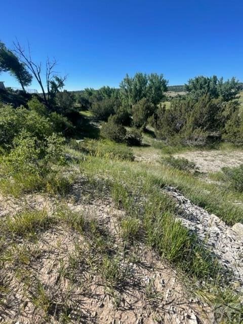 Listing photo 3 for TBD Applewood Dr, Colorado City CO 81019