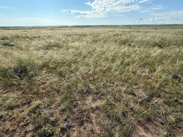 TBD County Rd 520, Walsenburg, CO 81089