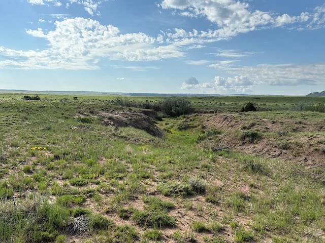 TBD County Rd 520, Walsenburg, CO 81089