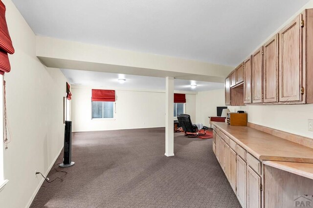 basement with dark colored carpet