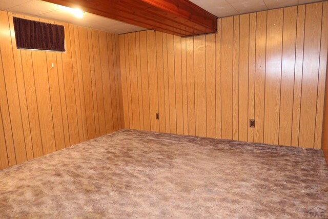 finished below grade area featuring carpet and wood walls