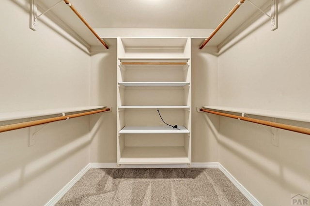 walk in closet featuring carpet floors