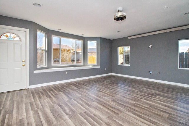 foyer entrance with baseboards and wood finished floors