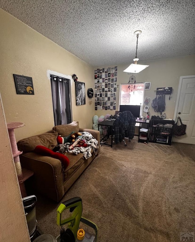 living area featuring carpet and a textured ceiling