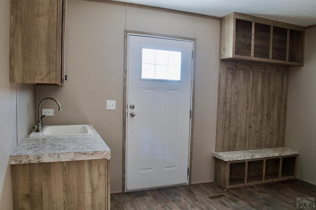 interior space featuring dark wood-style flooring and a sink