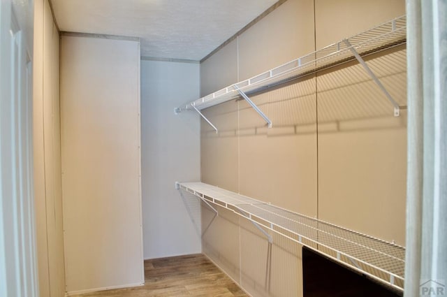 spacious closet with light wood-style flooring