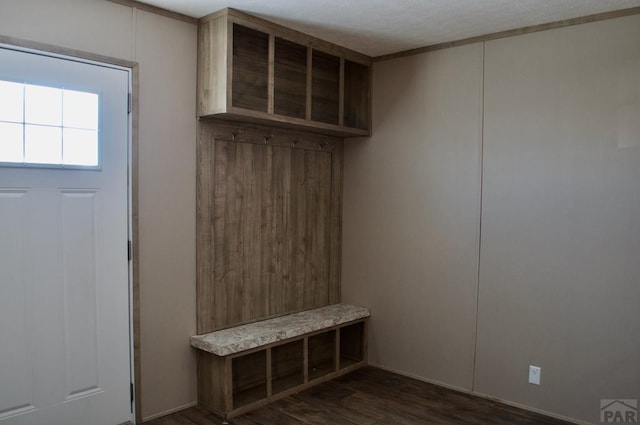 mudroom featuring dark wood finished floors