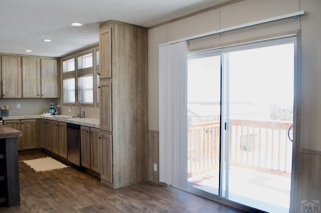 kitchen featuring dark wood-type flooring, dishwasher, a sink, and light brown cabinetry