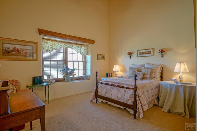 693 County Rd 572, Gardner, CO 81040 - photo 16