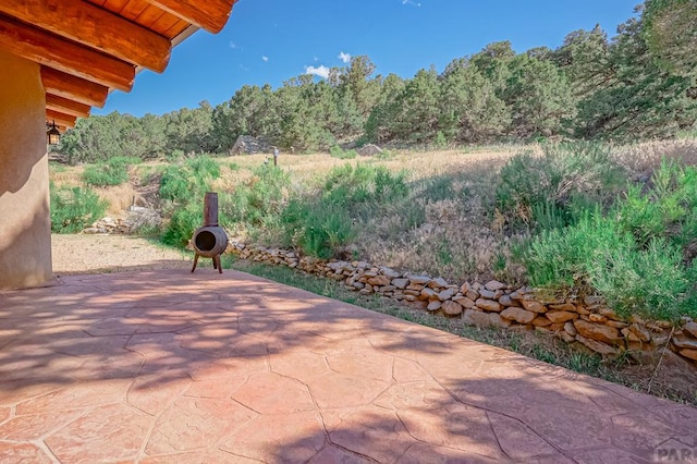 693 County Rd 572, Gardner, CO 81040 - photo 28
