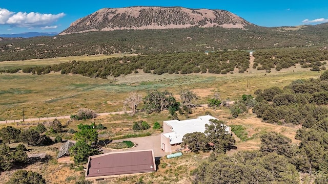 drone / aerial view featuring a mountain view and a rural view