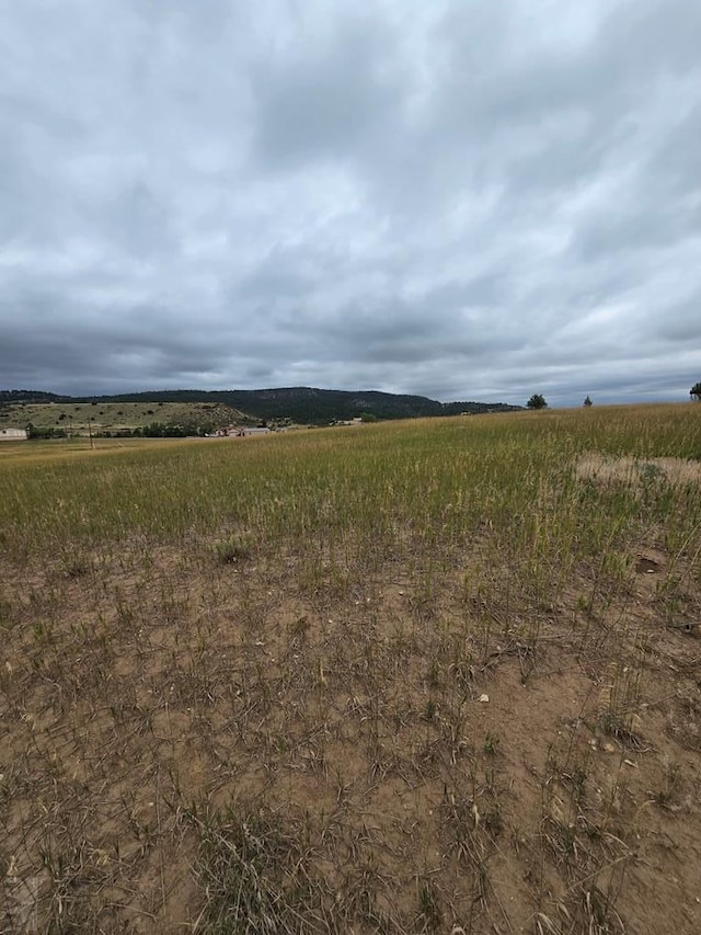 Listing photo 3 for TBD Terlesa Dr, Colorado City CO 81019