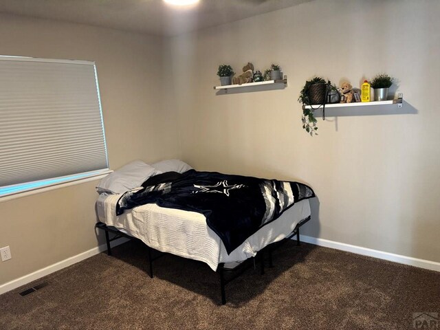 1510 Kingsroyal Blvd, Pueblo, CO 81005 - photo 15