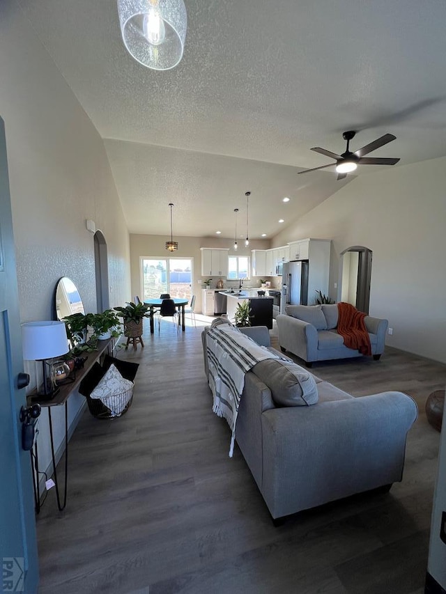 living area with dark wood-style floors, lofted ceiling, a textured ceiling, and recessed lighting