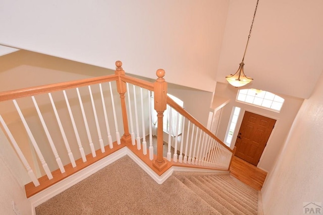 1135 Mount Estes Dr, Colorado Springs, CO 80921 - stairway featuring carpet floors and a high ceiling
