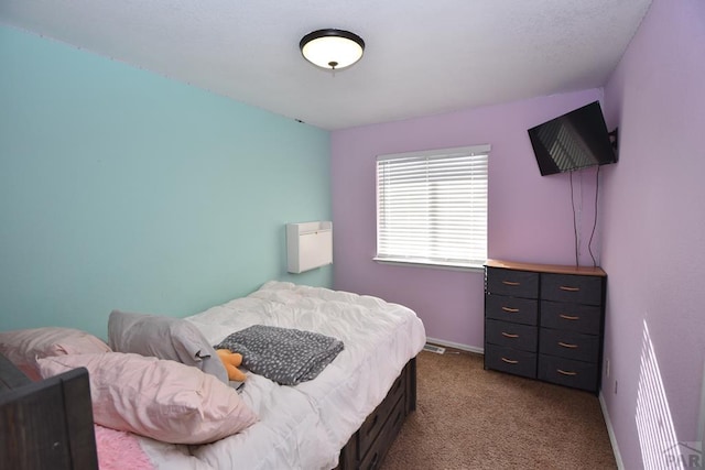 238 E Ohio Dr, Pueblo West, CO 81007 - photo 20