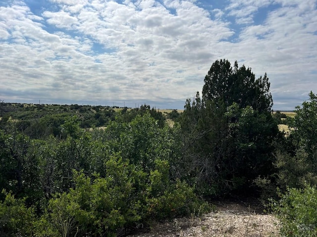 Listing photo 2 for LOT50 Windom Peak, Colorado City CO 81019