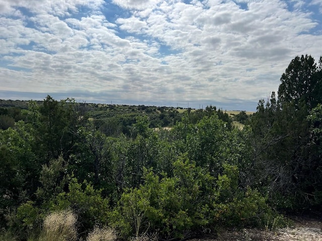 Listing photo 3 for LOT50 Windom Peak, Colorado City CO 81019