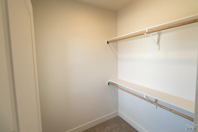 spacious closet with carpet