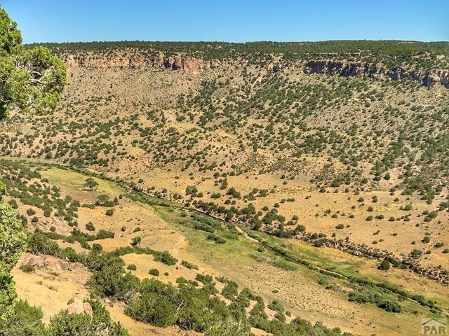 LOT80 Turkey Ridge Rnch, Walsenburg, CO 81089 - photo 6