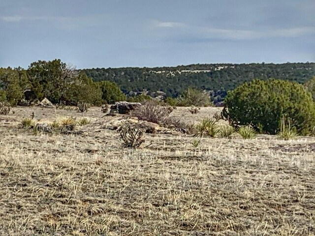 LOT80 Turkey Ridge Rnch, Walsenburg, CO 81089 - photo 3