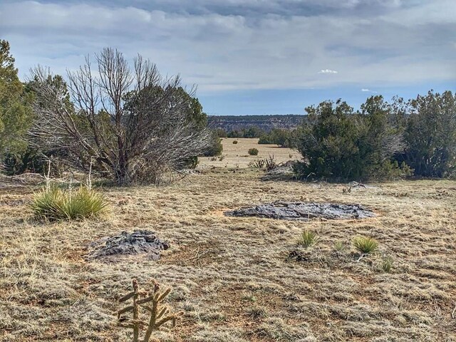 LOT80 Turkey Ridge Rnch, Walsenburg, CO 81089 - photo 4