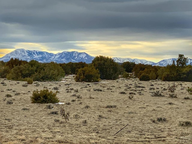 LOT80 Turkey Ridge Rnch, Walsenburg, CO 81089 - photo 1