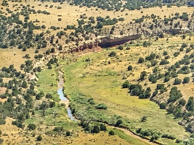 LOT80 Turkey Ridge Rnch, Walsenburg, CO 81089 - photo 5